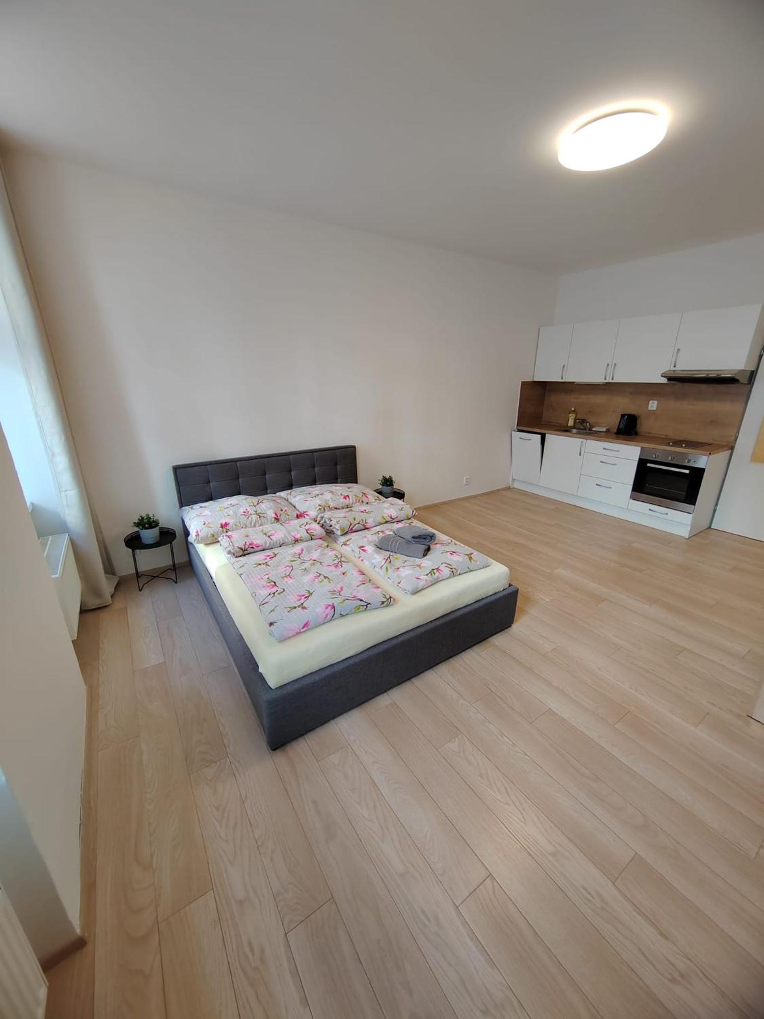 Apartia Vlhka 26, Brno-Center Екстериор снимка